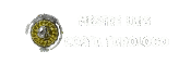 Mestre Luis Costa Tarologo